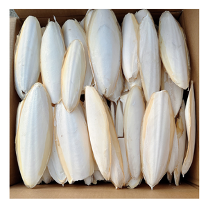 Hueso de sepia fresco de Vietnam, elegante hueso de sepia para juguetes para mascotas, hueso de sepia ecológico, secado al sol a granel - Product Image 1