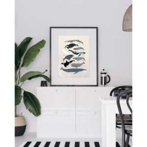 Póster de varias especies de ballenas con marco negro para decoración de pared - Product Image 1