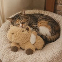 Coussin chauffant pour animaux de compagnie en peluche, compatible micro-ondes, coussin chauffant Capybara, réutilisable, sans électricité, coussin chauffant confortable pour chat et chien, OEM personnalisé