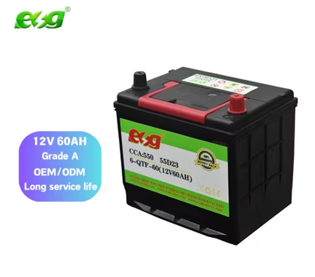 ESG прочный 12 В 100Ah стартер аккумулятор для грузовиков и автомобилей свинцово-кислотный аккумулятор с функцией технического обслуживания для приложений UPS