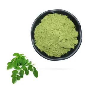 Hot Selling 2023 Moringa Leaf Powder Available In Premium Price Good For Sugar Patients And Moringa Leaf Powder Sell