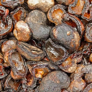 Cáscaras de anacardos de primera calidad a granel, suministro al por mayor de productos naturales para la extracción de aceite, mejor oferta - Product Image 3