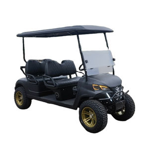 Carrito de Golf Eléctrico Multiusos, Transporte Especial para la Comunidad, Buggy de Golf, Carritos de Golf Eléctricos Usados para Personas con Discapacidad - Product Image 1