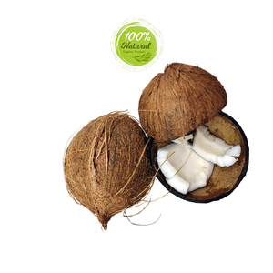 Noix de coco séchée innovante reliant tradition et productivité agricole - Product Image 4