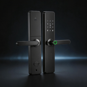 Serrure de porte intelligente TTlock, empreinte digitale, Bluetooth, mot de passe, entrée sans clé pour appartement locatif, <span class=keywords><strong>gestion</strong></span> <span class=keywords><strong>Airbnb</strong></span>, étanche, numérique - Product Image 1