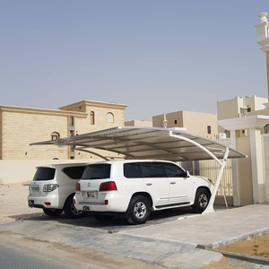 Offre Spéciale Pas Cher <span class=keywords><strong>Prix</strong></span> Installation Au Sol Carport Auvent pour 2 voitures - Product Image 5
