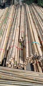 Fournisseur vietnamien de fabrication de poteaux en bambou naturel pour l'agriculture et les applications extérieures - Product Image 5