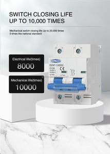 DZ47-100 DZ47-125 NC125H 1 P 2 P 3 P 4P 80A 100A 125A MCB 1 극 2 극 3 극 80A 100A 125A 미니 회로 차단기 안전 사용 - Product Image 6