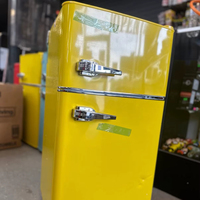 Réfrigérateur Vitrine et Congélateur Coffre Personnalisé à Température Unique, Isolation 301 Litres, pour Magasin à Prix Abordables