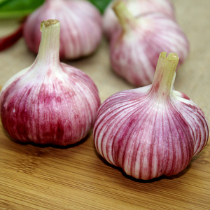 New season wholesale <b>fresh</b> Red <b>Garlic</b> cheap price - Product Image 3