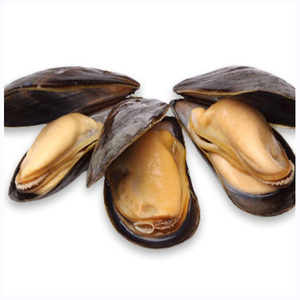 Certificado de calidad para mariscos: mejillón congelado en media concha, polvo de mejillón verde - Product Image 2