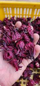 กลีบดอกชบาสีแดงธรรมชาติเกรดอาหารพรีเมียมพร้อมชาและแช่ - Product Image 4