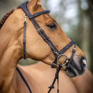 Bride en cristal de cheval équestre en cuir avec personnalisation doucement rembourrée de forme anatomique disponible pour la vente en ligne - Product Image 6