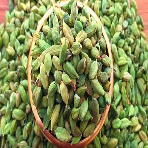 Graines de cardamome de grande qualité en vrac, épices, cardamome verte séchée, 100% naturelle, prix de gros, fournisseurs d'usine - Product Image 1