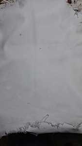 CAROLINA LEATHER Eco-Friendly <b>White</b> Genuine Leather Grain Sheet Flexible Membrane Custom Cut Material for Upholstery Activewear - Product Image 3