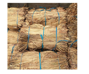 Jacinthe d'eau brute de qualité supérieure pour l'artisanat-Jacinthe d'eau brute du Vietnam, durable, de haute qualité, approvisionnement en vrac pour l'exportation à vendre - Product Image 1