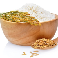 Wholesale Vietnamese Organic Rice 100% Fragrant White Rice Export Best Quality Vietnamese Rice