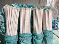 Balai portable en bois d'eucalyptus naturel, poignées durables, poils doux et écologiques, prix avantageux de Chine