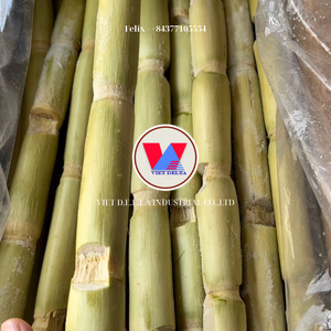 NATURAL CONGELADO BASADO EN PLANTAS DE CAÑA DE AZÚCAR SOPORTE BIENESTAR ETIQUETA LIMPIA PRODUCTO - Product Image 4