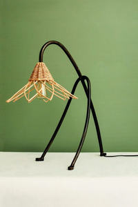 PANTALLA CREATIVA DE RATÁN DE PIE CON PATA DE METAL DECORACIÓN ÚNICA - Product Image 6