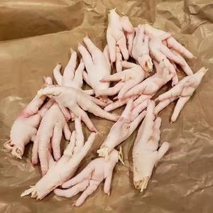 Pattes de poulet fraîches de haute qualité pour les marchés internationaux Pieds de poulet surgelés halal de qualité supérieure pour l'exportation - Product Image 4