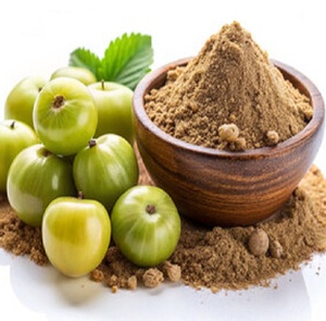 Poudre d'Amla de qualité alimentaire, sauvage, à haute valeur nutritionnelle |   100% Naturel |   Fournisseur mondial d'exportation de confiance - Product Image 2