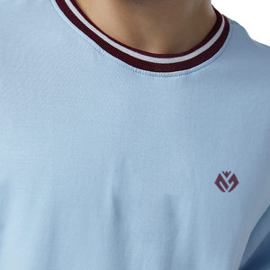 T-shirts de haute qualité avec impression simple de logo sur mesure pour hommes T-shirt surdimensionné en coton de couleur bleu clair lourd pour hommes - Product Image 5