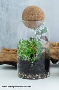 Terrarium <span class=keywords><strong>en</strong></span> verre avec couvercle <span class=keywords><strong>en</strong></span> bois hermétique, terrarium <span class=keywords><strong>fermé</strong></span>, pot de plantation, <span class=keywords><strong>bocal</strong></span> <span class=keywords><strong>en</strong></span> verre transparent, récipient de 1200 ml (40 oz), écosystème d'intérieur - Product Image 2