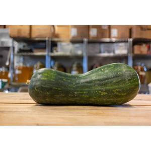 <span class=keywords><strong>Graines</strong></span> de courge <span class=keywords><strong>Butternut</strong></span> Cucurbita Moschata 5G Saveur délicate Fournitures de jardinage - Product Image 5