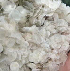 Escamas de Pescado Secas de Vietnam, Suministro de Fábrica VDELTA |   Pedidos al por Mayor - Product Image 6