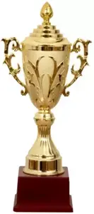 High Selling Cup Trophy World Sports <b>Brass</b> Metal Award Trophy Trophy Cups/wholesale Custom Honor Medal Metal Sport Award - Product Image 2