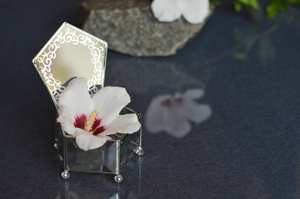 New Hexagon Shape Glass <b>Ring</b> Box Jewellery Organizer Made With Glass And Metal Gold Polish Frame For Birthday Wedding Engagement - Product Image 2