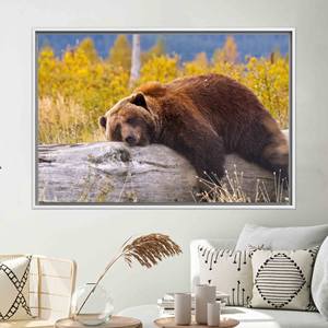 Modern Bear Wall <b>Decor</b>: Brown Bear Resting on <b>Log</b> Printed Canvas,1P:White Framed - Product Image 1