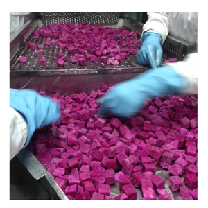 Tranches de fruits du dragon congelés IQF origine du Vietnam, goût frais, sans conservateurs, marque privée et exportation en gros - Product Image 6