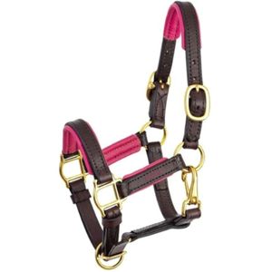 Offre Spéciale haut de gamme qualité cheval licou confortable cheval en cuir véritable tête collier licou compétition équitation - Product Image 6