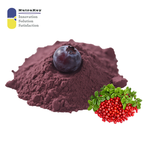 Натуральный экстракт черники, порошок 10:1 антоцианозидов, оптом, заводская цена, поставщик OEM - Product Image 2