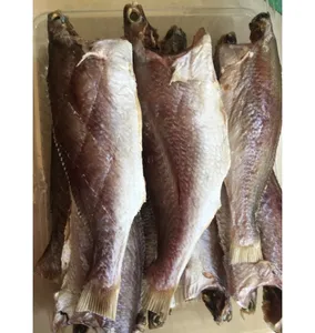 Numéro un poisson croaker séché de qualité au Vietnam