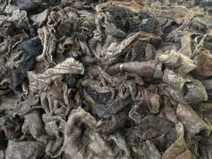 Recorte de cuero genuino de piel de vaca de alta calidad, división a granel competitiva para pegamento de cuero crudo, fabricación de colágeno de gelatina, suministro al por mayor - Product Image 5