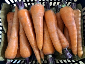 Variedades de zanahorias frescas, opciones orgánicas y convencionales disponibles. - Product Image 4