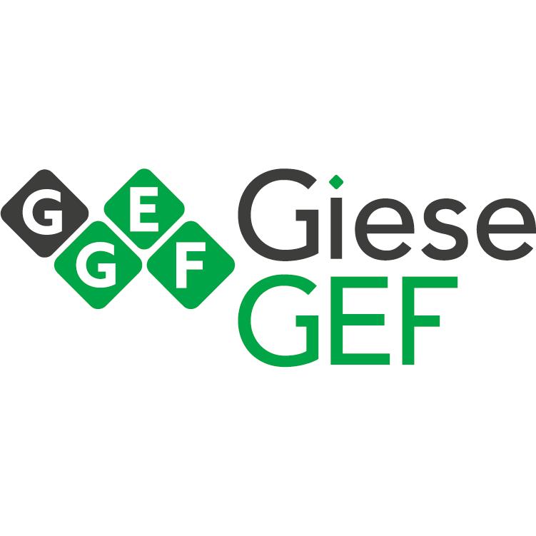 Giese-GEF Druck GmbH logo