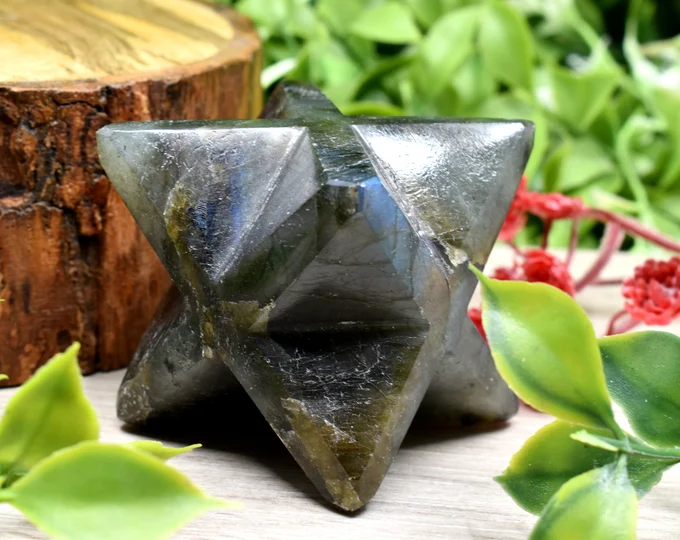 COMME MONTRÉ DANS PIC