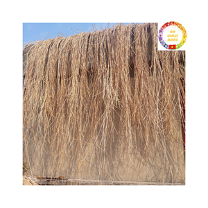 ไม้เท้าหวายธรรมชาติมีหลายขนาดเพื่อการส่งออกและค้าปริมาณมาก - Product Image 5