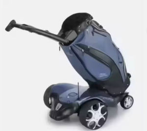 Authentique trottinette de golf debout électrique Easy Go télécommandée personnalisable OEM ODM support bricolage chariot de golf électrique chariot à pousser - Product Image 1