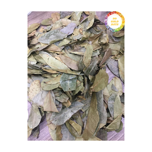Feuilles de corossol séchées entières herbe naturelle d'origine du Vietnam utilisée dans les boissons au thé et la décoration de feuilles séchées - Product Image 3