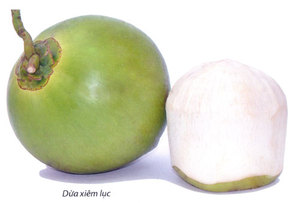 Coco ietnaman Fresh Young, precio bajo - Product Image 6