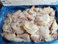 Poulet entier frais congelé en sacs, coupes de volaille halal pour la consommation humaine, origine USA, emballage en vrac, ailes de poulet congelées
