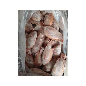 Pescado tilapia rojo congelado de primera calidad, ofrecido a precio de fábrica para compradores mayoristas. - Product Image 2