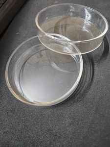 Borosilicate <b>Glass</b> Transparent 100mm Flat Bottom Petri <b>Dish</b> <b>Glass</b> Lid MAYALAB Brand 1 Year Warranty for Microbiology Research - Product Image 3