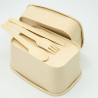 Boîte à lunch jetable naturelle de bagasse canne à sucre de qualité au micro-ondes personnalisée Conteneurs à emporter pour les besoins d'emballage et d'impression