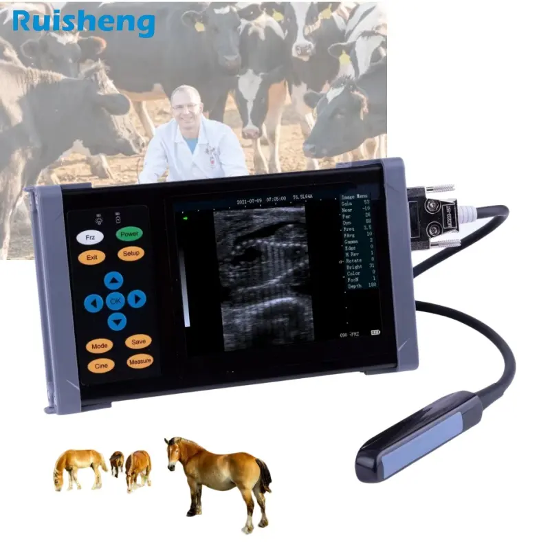 Ucuz taşınabilir hayvan Pet ultrason makinesi gebelik ultrason tarayıcı fiyat